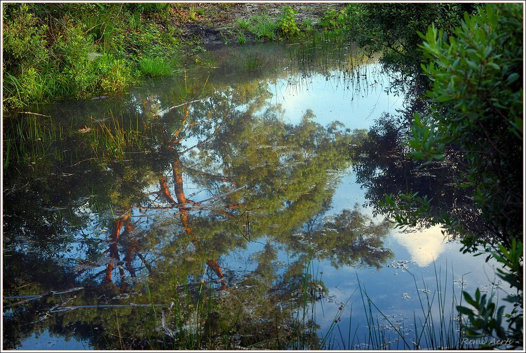 фото "***" метки: , 