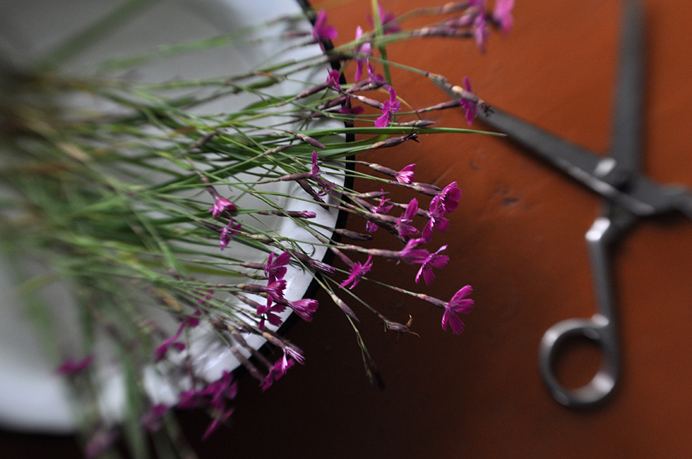 photo "***" tags: still life, 