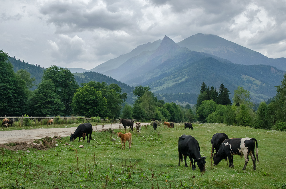 photo "***" tags: landscape, 