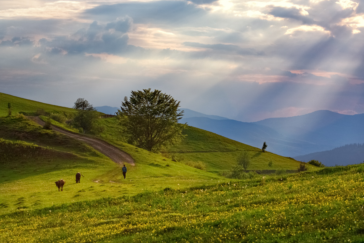 photo "***" tags: landscape, travel, nature, clouds, mountains, sky, Карпаты, закарпатье, склоны