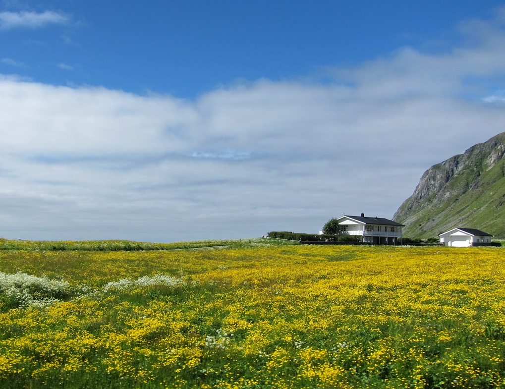 photo "***" tags: landscape, Lofoten Islands, Норвегия июль 2012