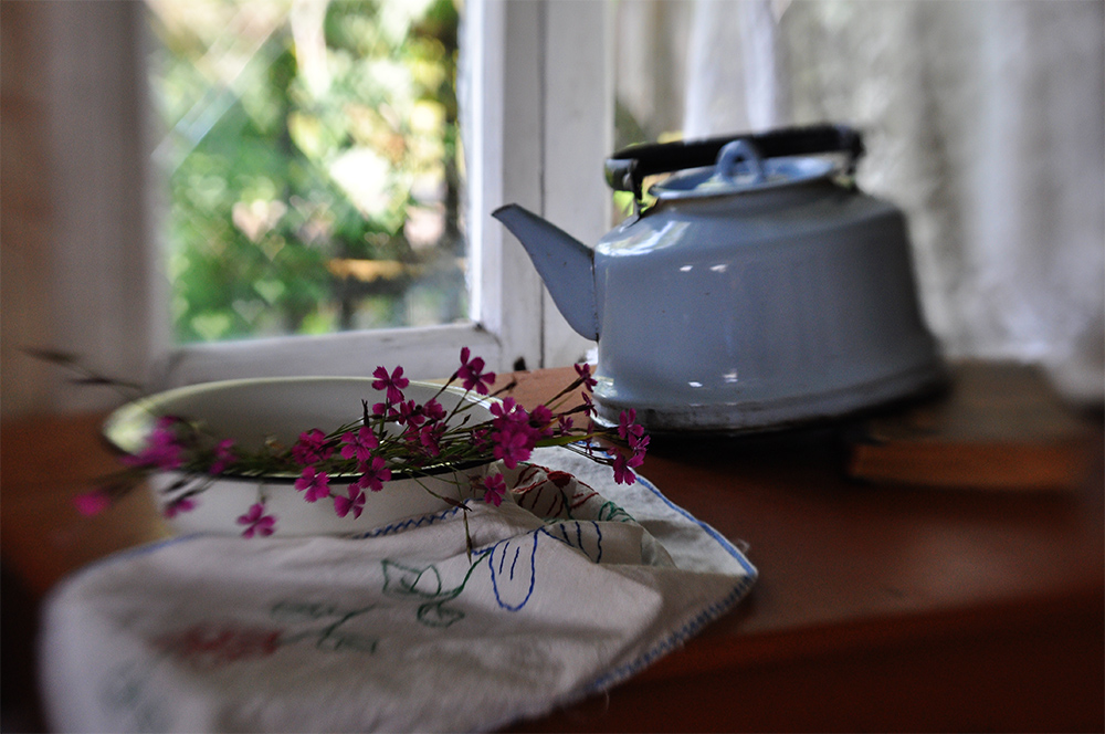 photo "Intrigued kettle" tags: still life, 