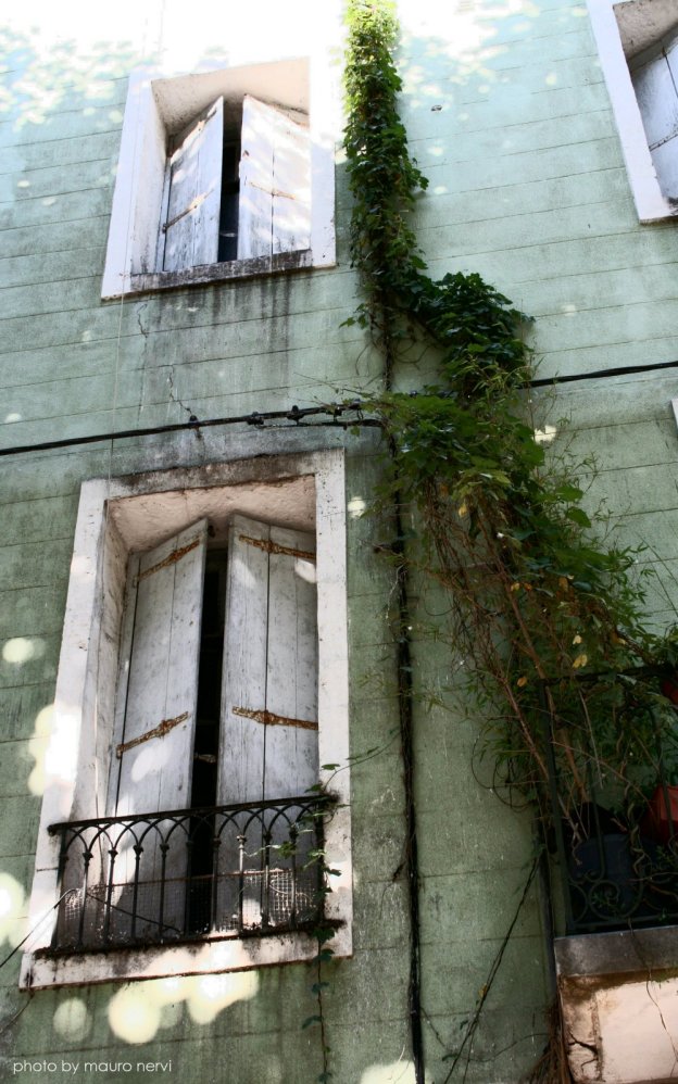 photo "windows" tags: street, 