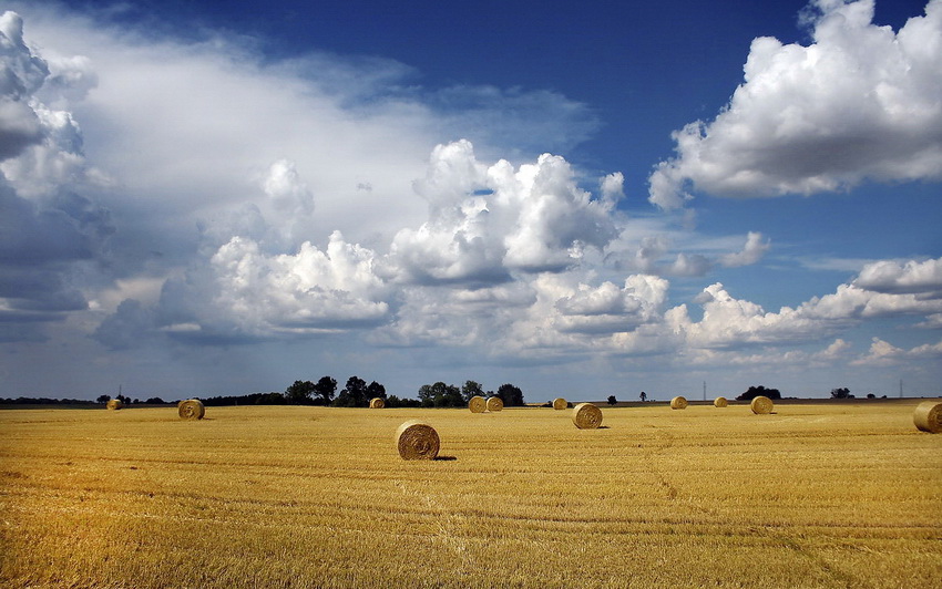 фото "Знойный июль" метки: пейзаж, небо, поле