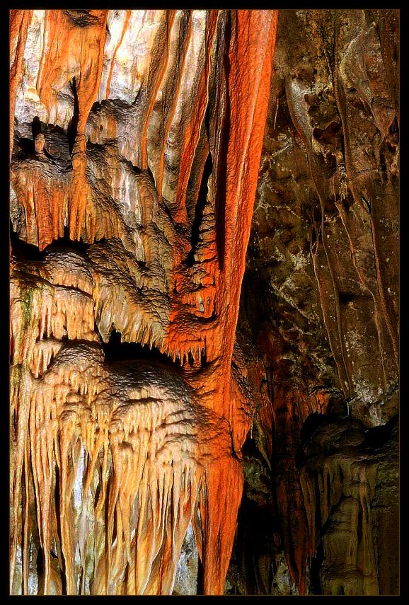 фото "From beneath the earth..." метки: фрагмент, природа, 