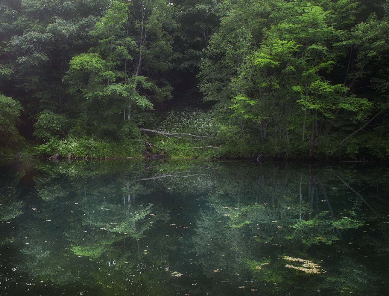 photo "***" tags: landscape, nature, lake, summer, отражение