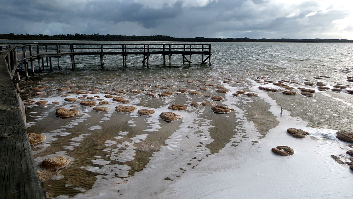 photo "Lake Clifton" tags: landscape, nature, 