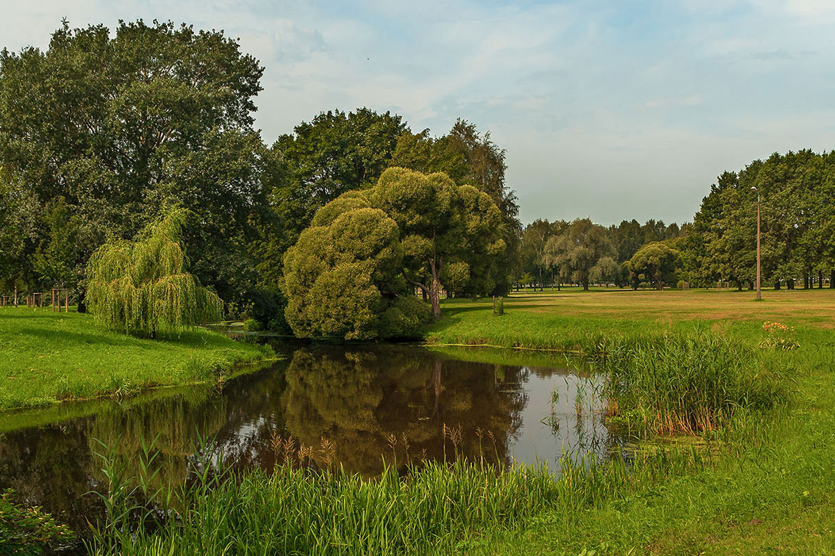 photo "***" tags: landscape, city, sky, water, деревья