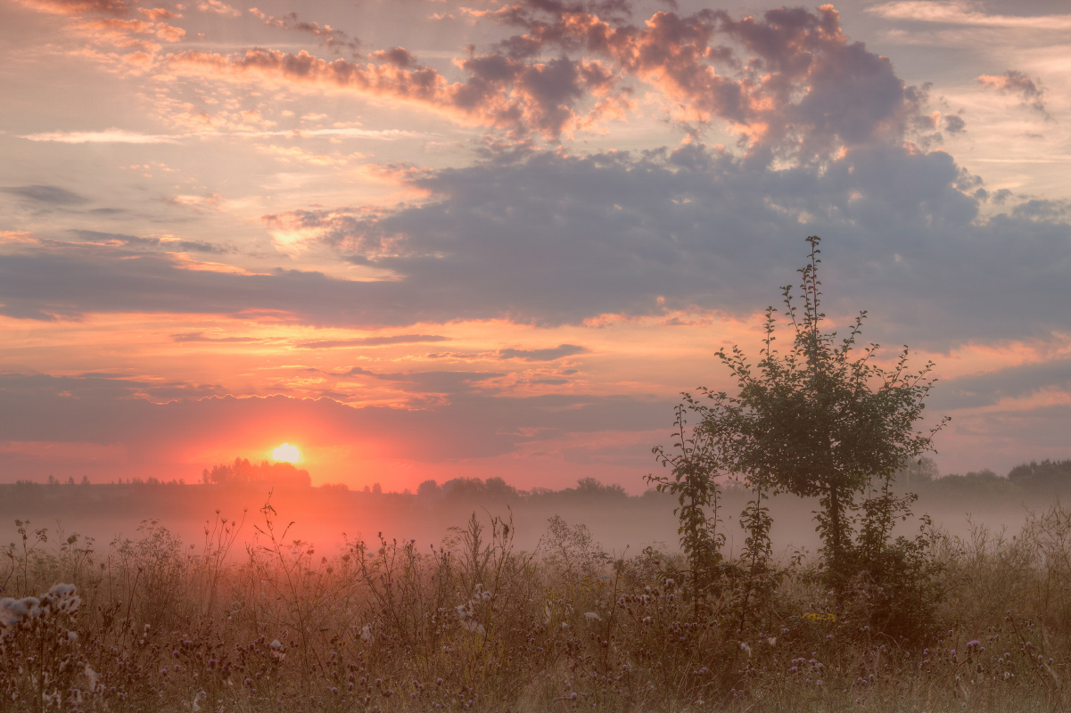 photo "***" tags: landscape, nature, fog, morning, sun, sunrise