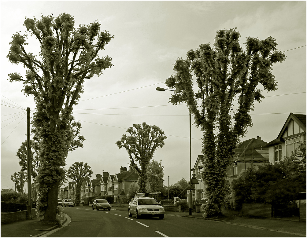 photo "***" tags: street, black&white, путевыезаметки, чёрно-белое