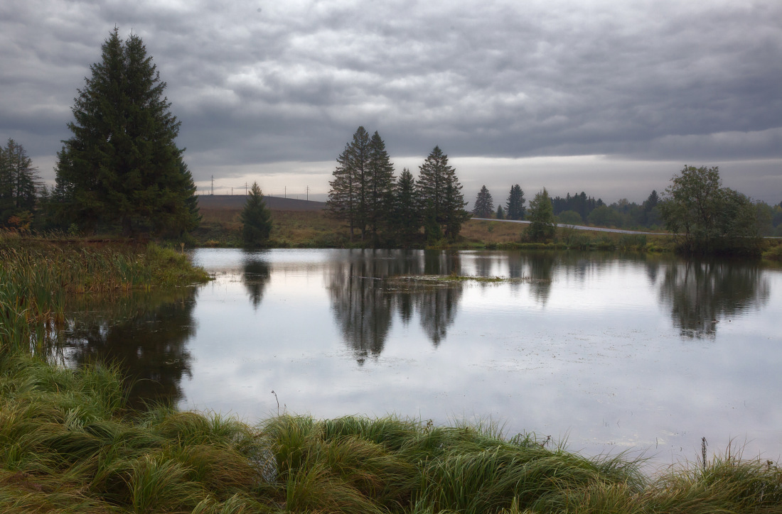 photo "***" tags: landscape, forest, grass, lake, pond, rain, summer, тучи