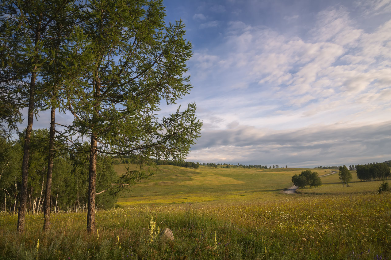 photo "***" tags: landscape, nature, 