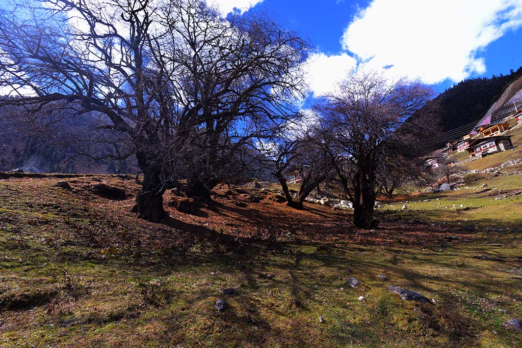 photo "shadow" tags: , 