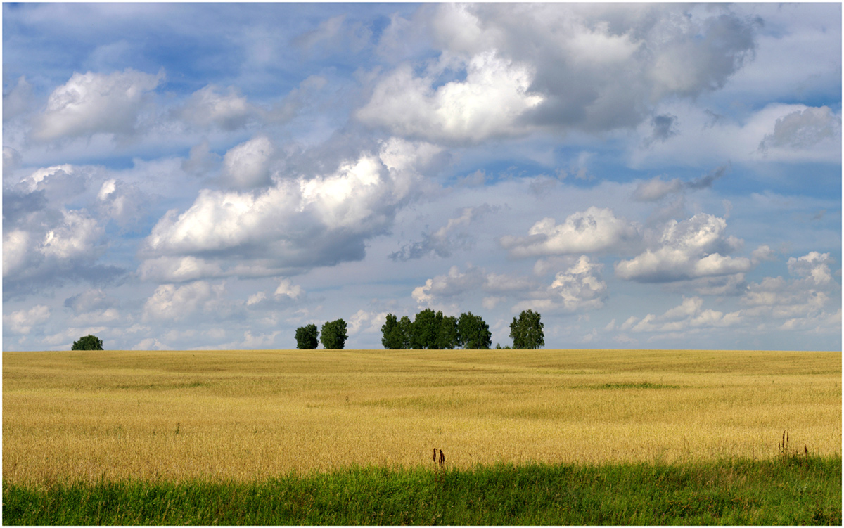 photo "Very close to the horizon ..." tags: landscape, nature, clouds, field, summer