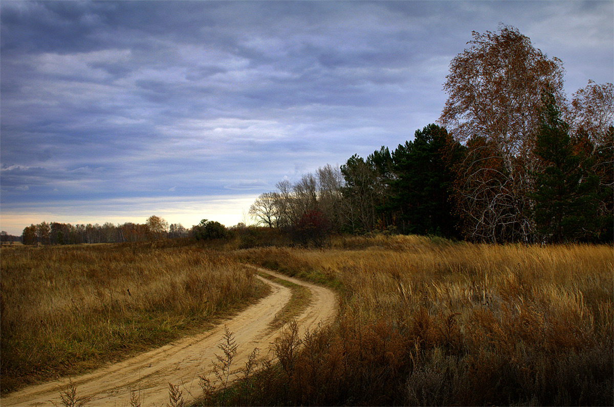 photo "***" tags: landscape, nature, autumn, clouds, field, forest, road, пасмурно