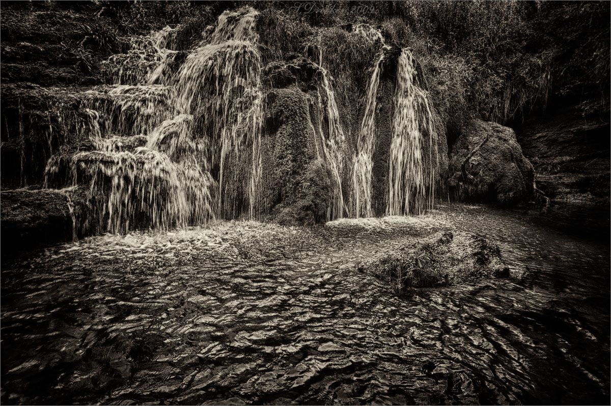 photo "Boceto en la tonalidad oscura" tags: nature, landscape, black&white, Europe, forest, spring, water