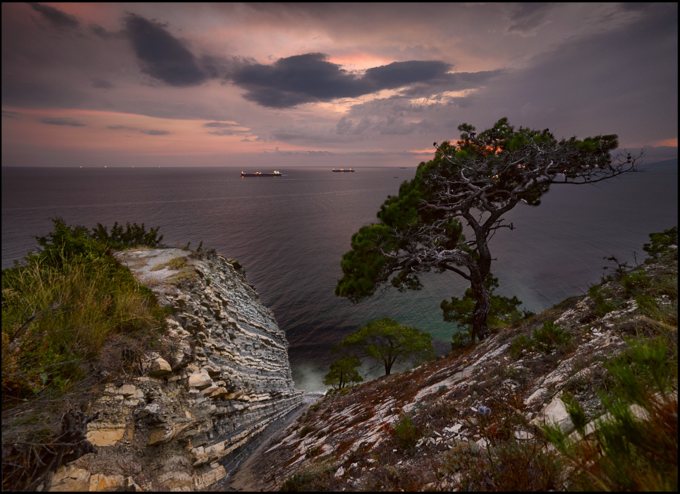 фото "Сосны на морском берегу" метки: пейзаж, 