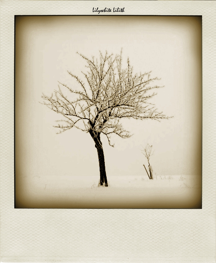 фото "*" метки: пейзаж, 