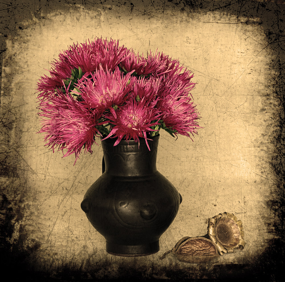 фото "Контрасты 1" метки: натюрморт, ваза, цветы
