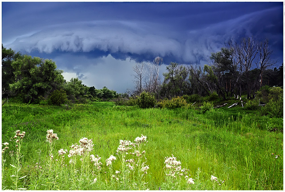 photo "***" tags: landscape, clouds, summer