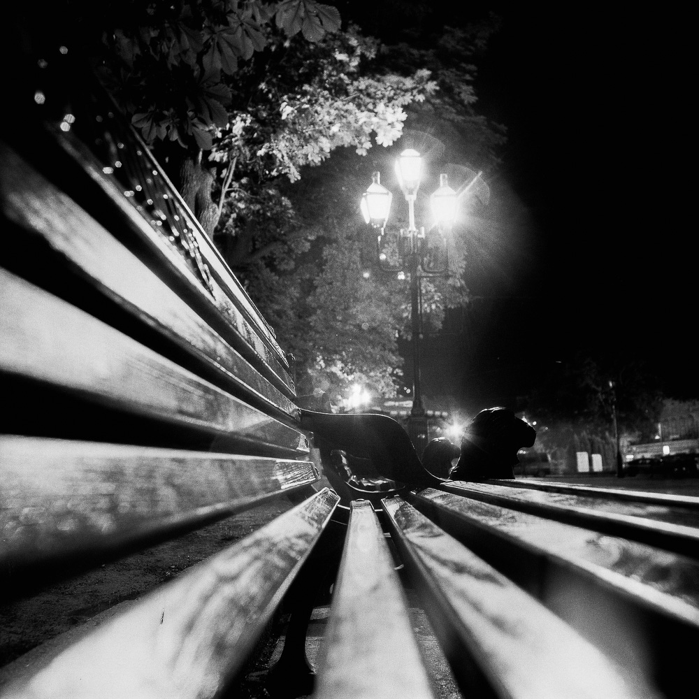 фото "***" метки: черно-белые, 
