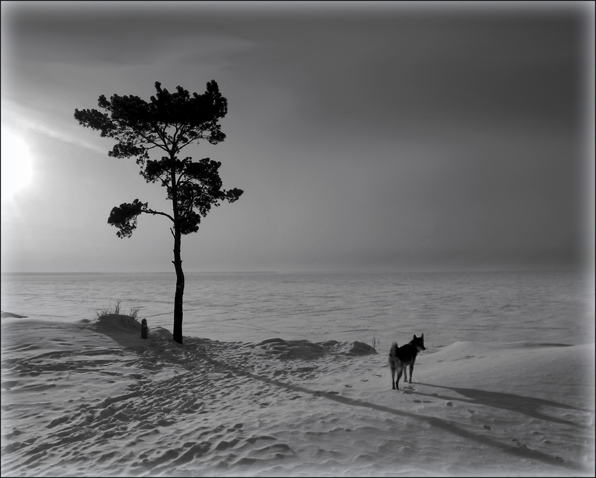 photo "***" tags: landscape, nature, black&white, coast, winter, Лайки.