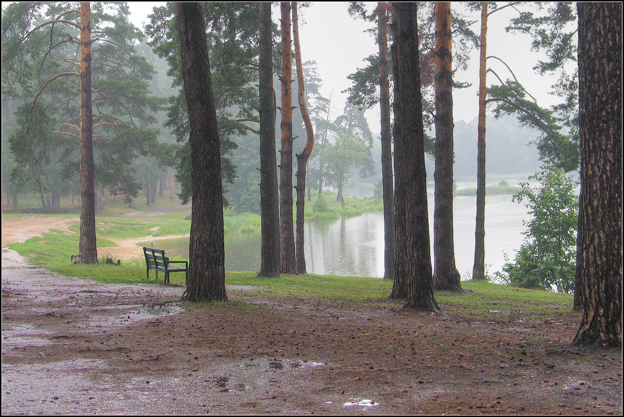 photo "rain" tags: landscape, nature, 