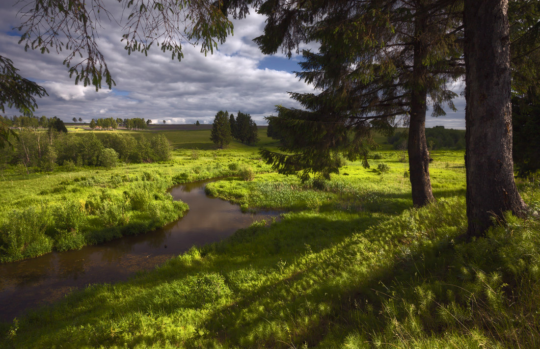 фото "Зеленый бархат" метки: пейзаж, деревья. лес, лето, облака, река, трава
