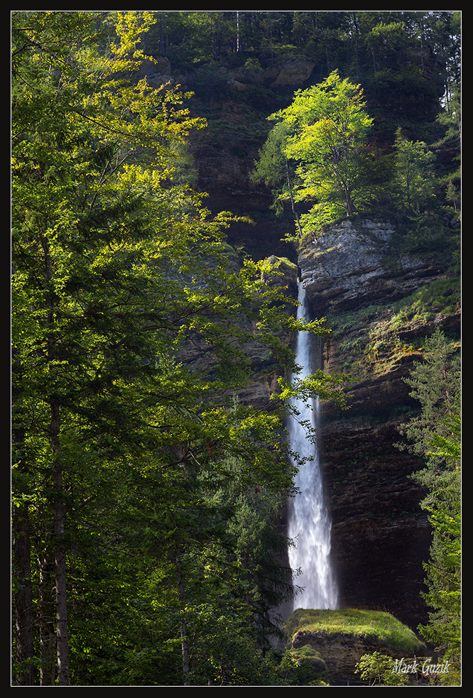 photo "In the glare of the sun" tags: nature, 