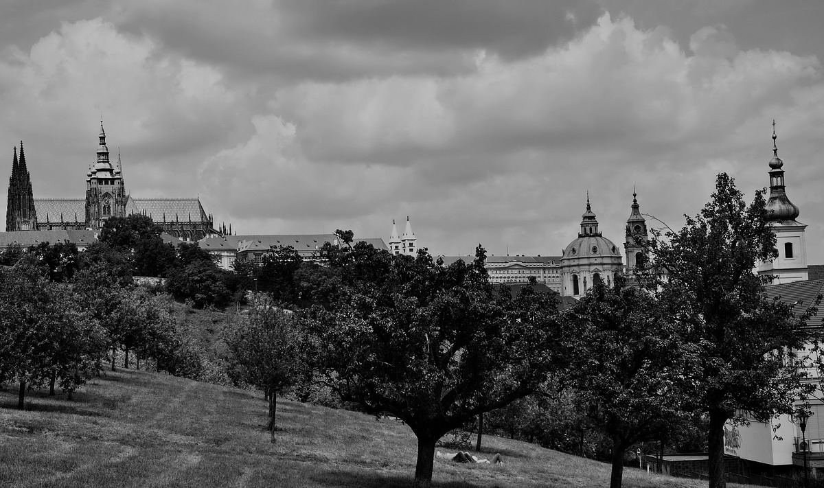 photo "Башни и деревья" tags: black&white, Prag, Prague, Praha