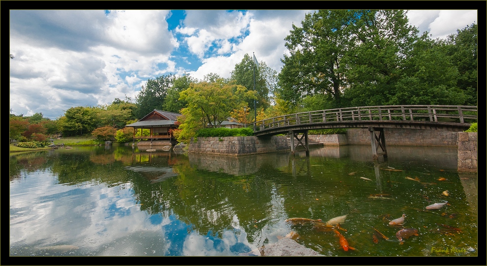 фото "Japanse tuin Hasselt" метки: пейзаж, 