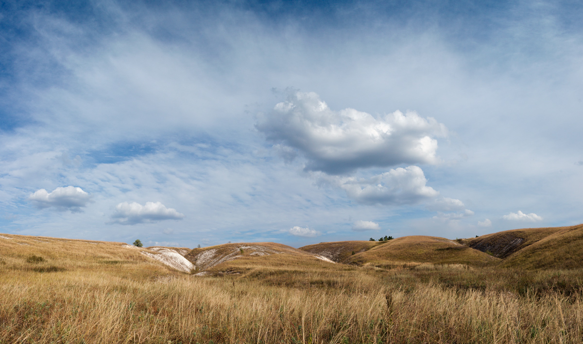 photo "***" tags: landscape, nature, clouds, field, grass, овраг