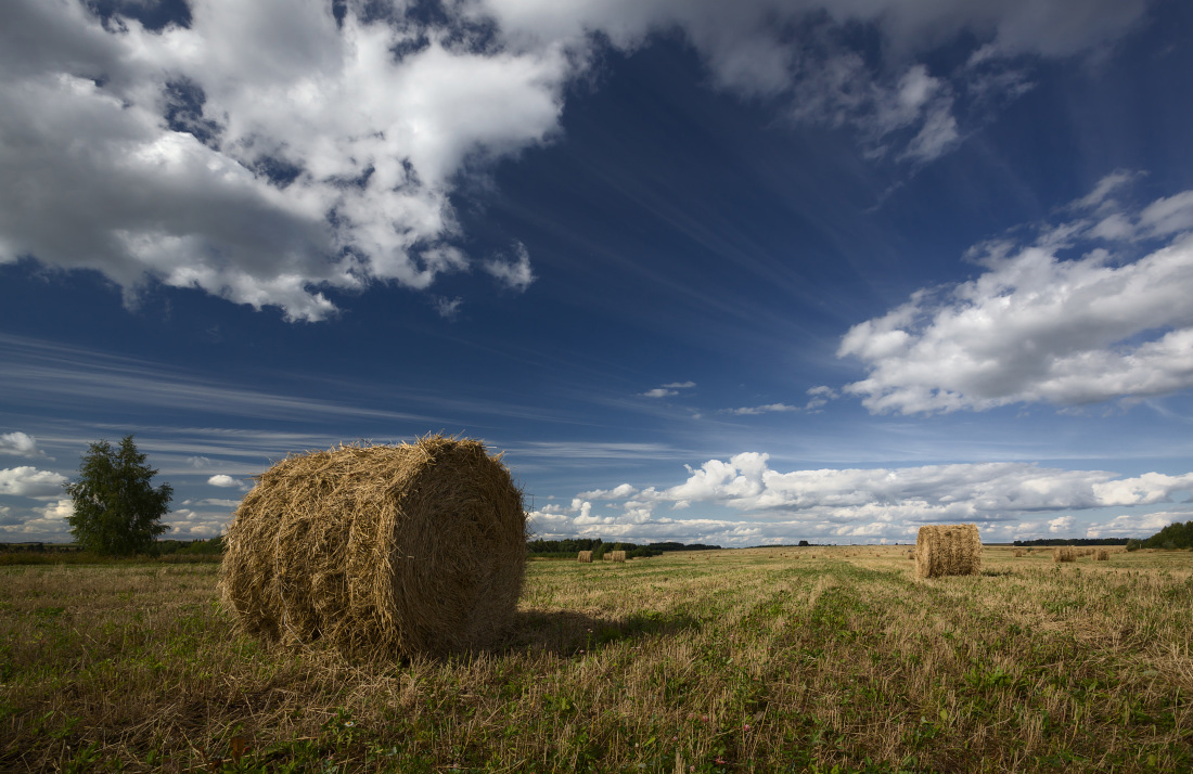 photo "***" tags: landscape, clouds, field, forest, grass, summer, линии, рулоны, сено