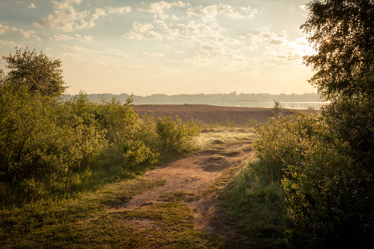 photo "Morning dew" tags: landscape, nature, Yaroslavl, coast, morning, river, spring, влага, волга, прохлада, роса