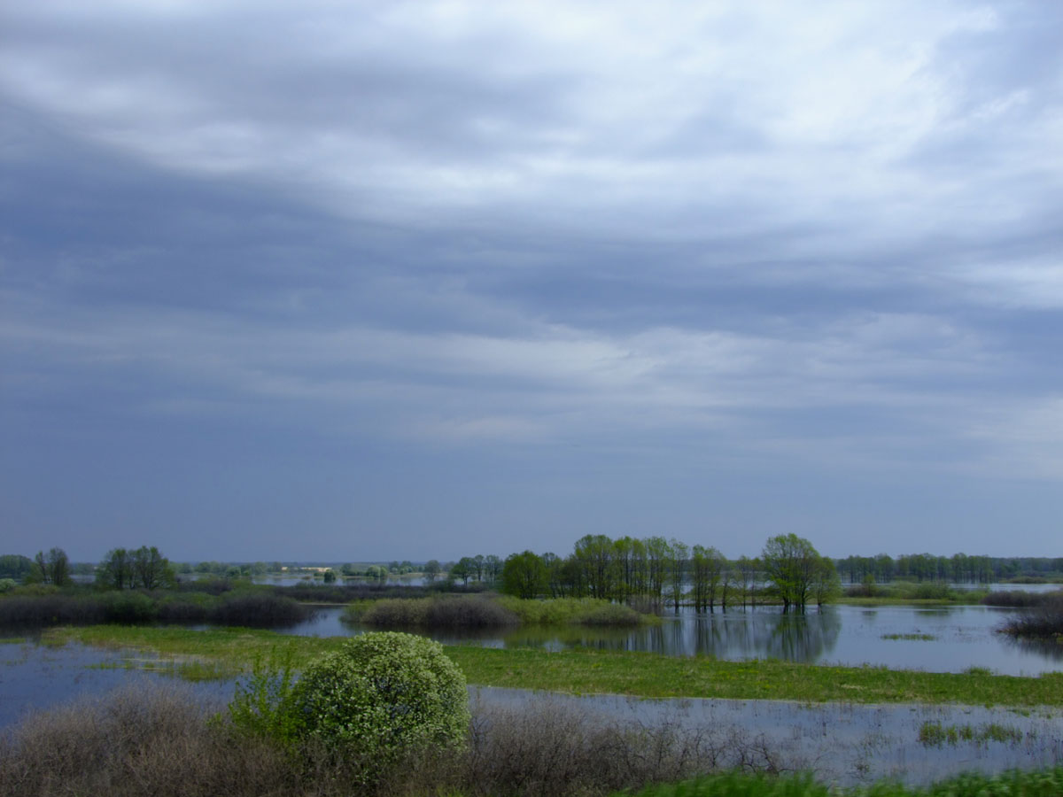 photo "the Oka" tags: landscape, Russia, river, sky, Ока, тучи