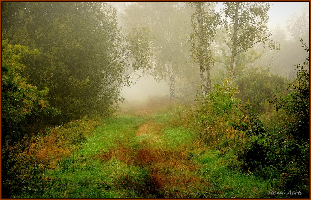 фото "***" метки: пейзаж, природа, 