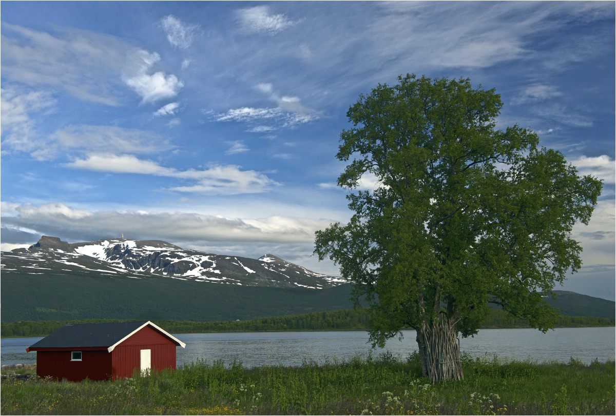 photo "About the barn, tree, mountains and sky" tags: landscape, travel, clouds, coast, gulf, mountains, sky, tree, домик, снежные вершины, фьорд