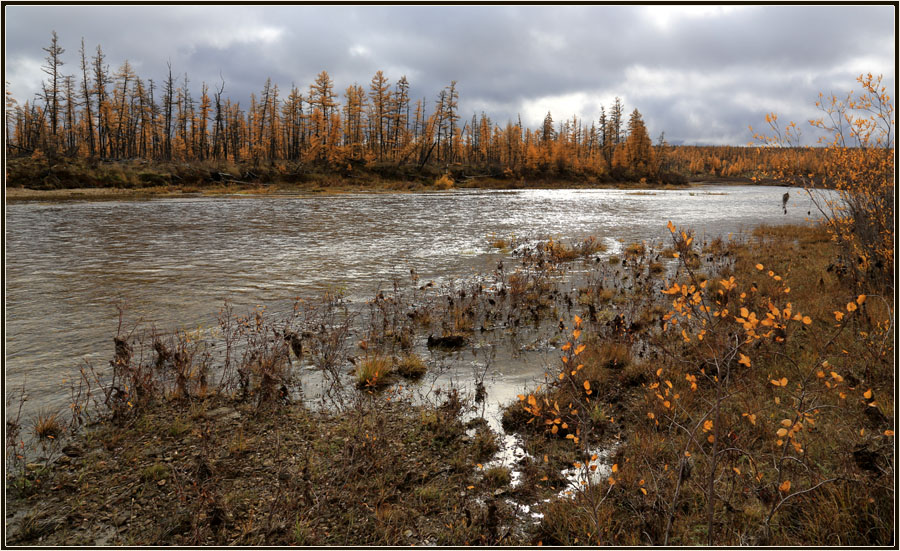 фото "Хмурая осень" метки: пейзаж, Далдын, Якутия, осень, река, тайга