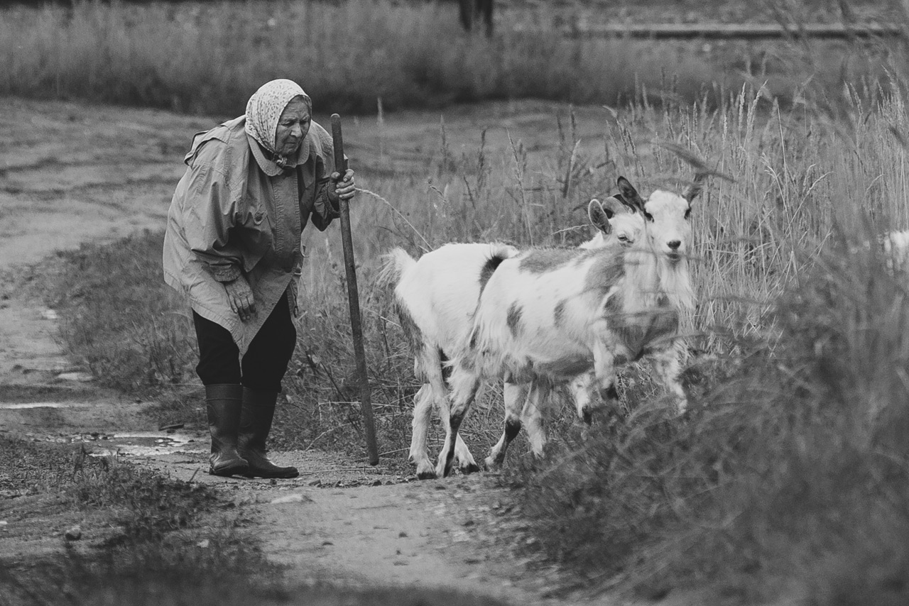 photo "The old woman and goats" tags: black&white, genre, bw, бабушка, жизнь, козы, старушка