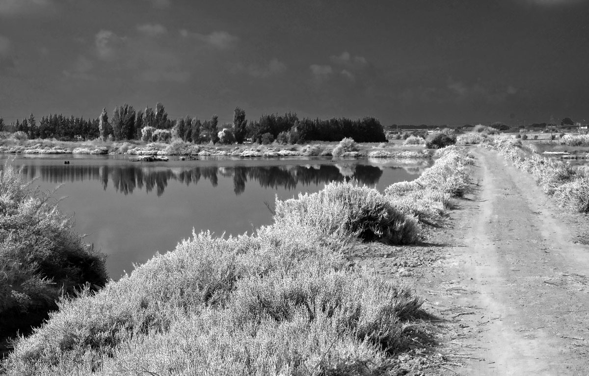 photo "Paths" tags: landscape, black&white, panoramic, Europe, Tagus, Tejo, estuary, portugal, water