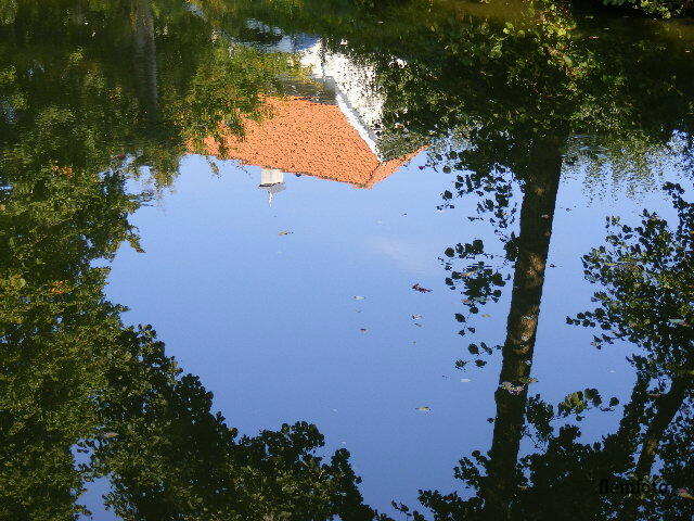 фото "Reflection" метки: природа, 