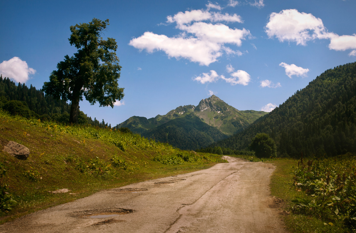 photo "***" tags: landscape, nature, travel, mountains, sky, summer, sun, tree, Кавказ