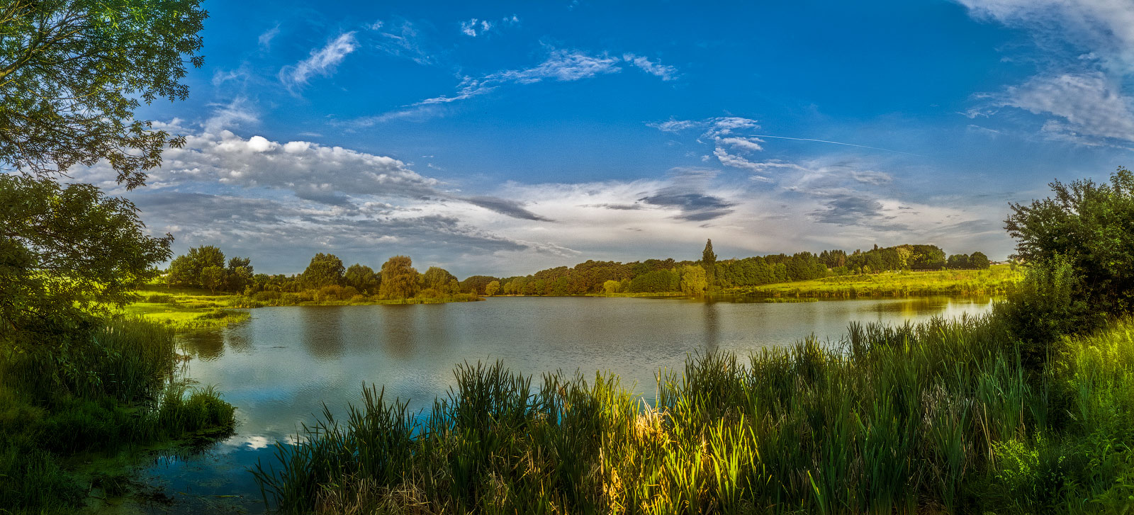 photo "***" tags: landscape, nature, panoramic, forest, lake, light, morning, shadow, water, деревья