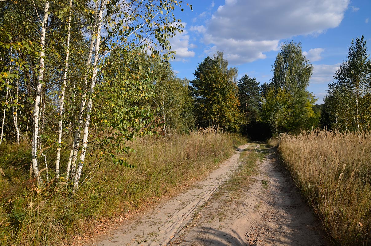 photo "***" tags: landscape, nature, 