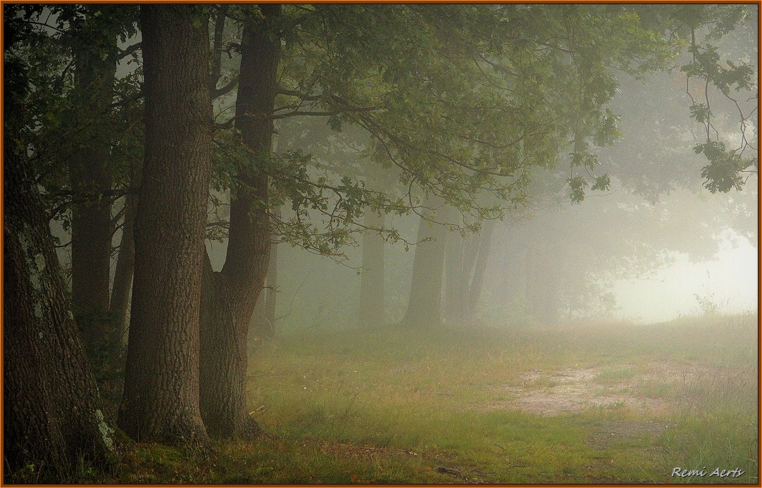 photo "***" tags: landscape, nature, 