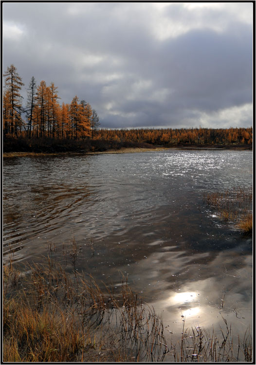 photo "***" tags: landscape, autumn, river, taiga, Далдын, Якутия