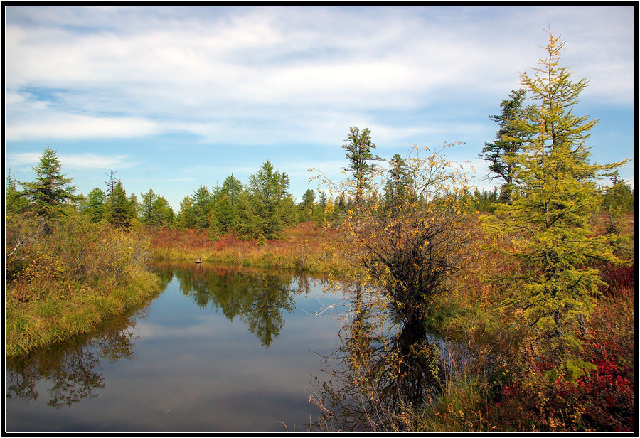 фото "Северная осень 2" метки: пейзаж, Якутия, осень, ручей, тайга