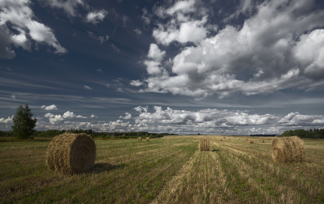 photo "***" tags: landscape, clouds, field, forest, grass, линии, рулоны, сено