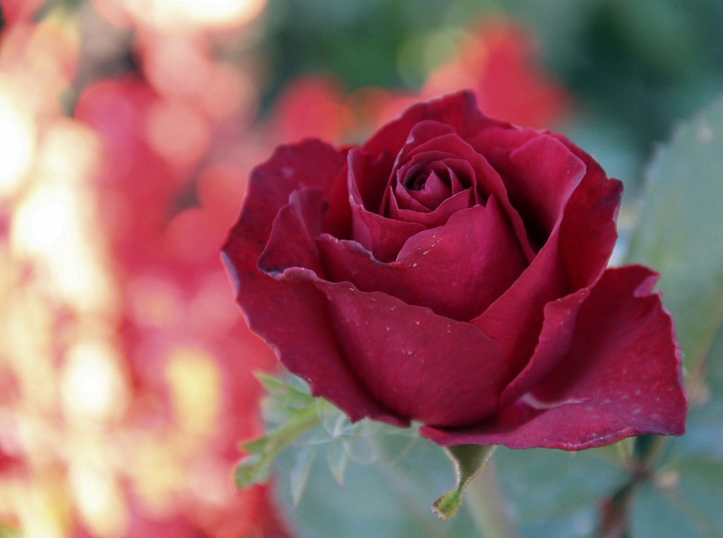 фото "*****" метки: , 
