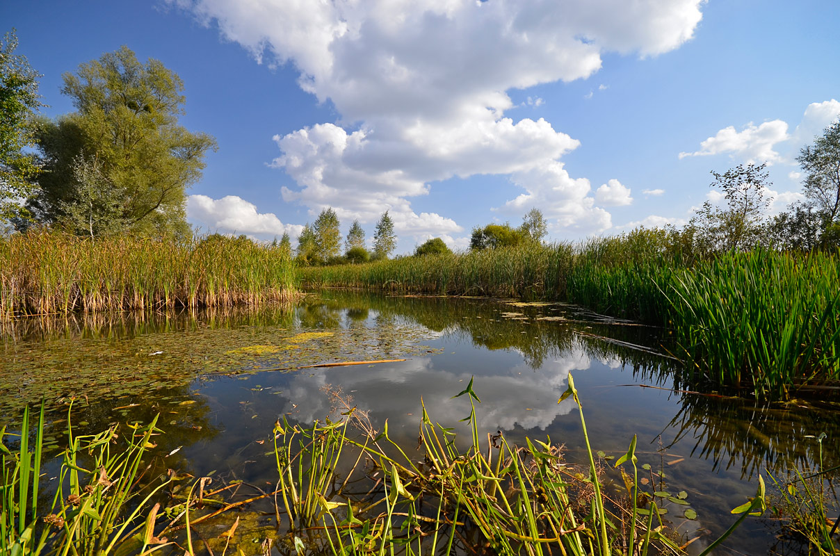 photo "***" tags: nature, landscape, 